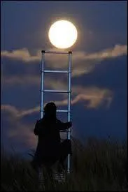 Et si vous avez fait quelques fautes d'inattention en répondant à ce quiz :