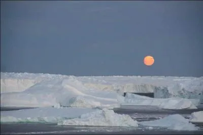 Laquelle de ces régions a été découverte par Jules Dumont d'Urville ?
