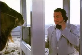 Dans lequel de ces films, Coluche n'a-t-il jamais joué ?