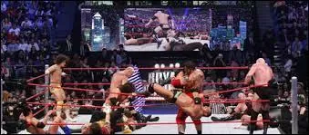 Qui gagne le Royal Rumble Match et ira à WrestleMania XXIV (24) ?