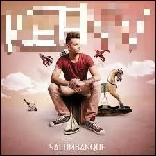 Saltimbanque - Lequel de ces chanteurs a un album nommé "Saltimbanque", sorti en 2014 ?