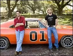 "Shérif, fais-moi peur" est une fameuse série américaine des années 80. Son adaptation sur grand écran se retrouva dans les salles obscures en 2005. Quel est le nom de la famille à laquelle appartiennent les héros de cette fiction ?