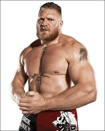 Quel(s) est (sont) le(s) finisher(s) de Brock Lesnar ?