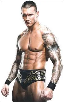 Quel(s) est (sont) le(s) finisher(s) de Randy Orton ?