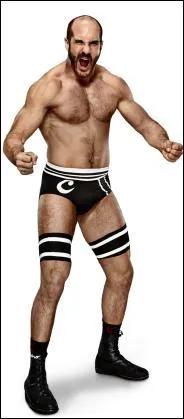 Quel(s) est (sont) le(s) finisher(s) de Cesaro ?