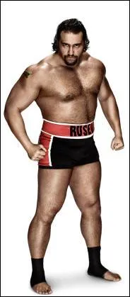 Quel(s) est (sont) le(s) finisher(s) de Rusev ?