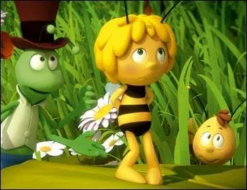 Maya l'abeille est en fait :