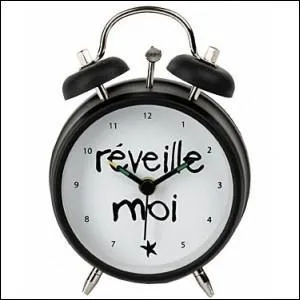 Qui a chanté "Wake me up" ?