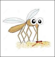 Cette maladie sévit principalement en Afrique subsaharienne. Le parasite responsable est propagé par certaines espèces de moustiques. Quelle maladie tue encore plus d'un million de personnes par an ?