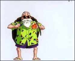 La tortue marine de Kamé Sennin est-elle capable de parler ?