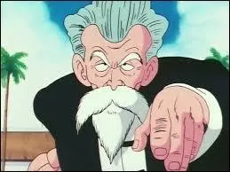 Lors du 21e Tenkaichi Budokai, Il décide de s'inscrire sous une fausse identité, laquelle ?