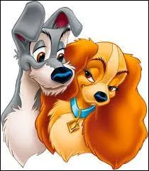 Quels sont les noms des ex-copines du clochard ?