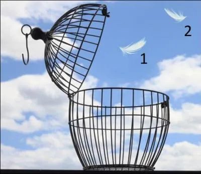 Lisez et vous serez Libres ! En catalan aussi  : LLegiu i sereu...