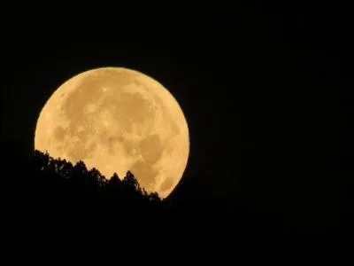 En général (em geral, en portugais), on la voit la nuit :