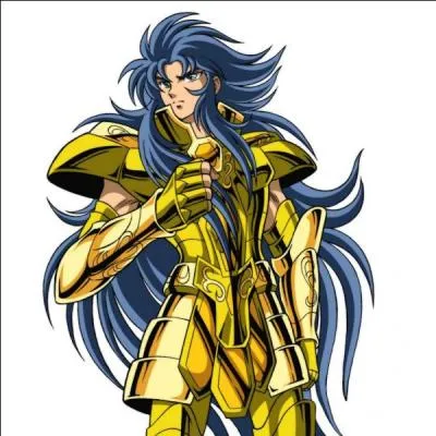 De quel signe est ce chevalier d'or ?