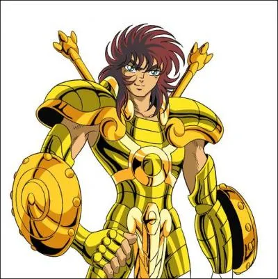 De quel signe est ce chevalier d'or ?