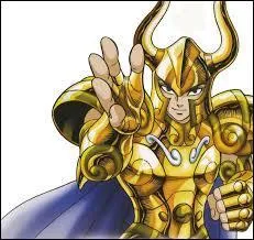 De quel signe est ce chevalier d'or ?