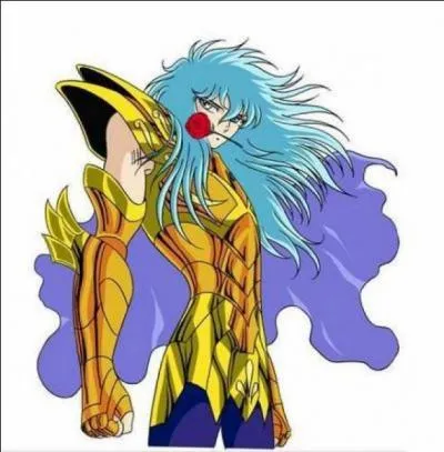 De quel signe est ce chevalier d'or ?