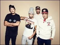 Parmi ces groupes, Nekfeu n'a jamais été dans...