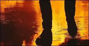 Quel est le nom de son album qui a été rapidement en rupture de stock ?