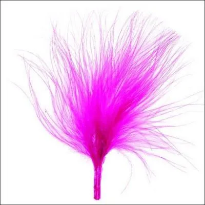 Fou, il peut être nerveux !