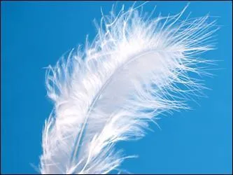 Il relève le travers !