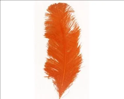 Grave, en la demeure !