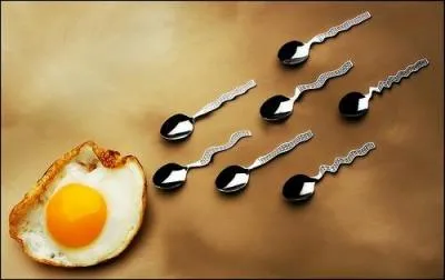 Elle peut être pimentée, aventureuse, amoureuse, sans nuages, longue, mais finalement ...