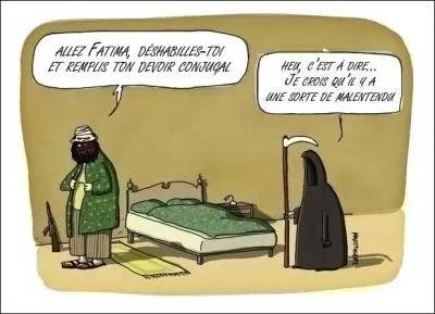 Trouvez ce mot français, vêtu très légèrement pour entrer dans le langage anglais !