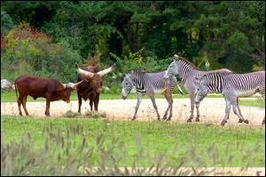 À quel métal associez-vous la tête de ce parc lyonnais, qui comprend, entre autre, un lac, de magnifiques serres, une roseraie et son célèbre parc zoologique ?