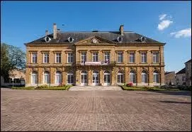 Canton de la Meuse, quel métal est un homonyme de son nom ?