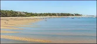 Arcachon : une ville qui a la cote mais à quelle côte l'associez-vous ?