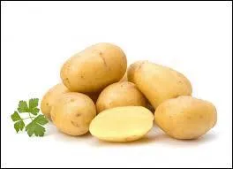 De quelle famille fait partie la pomme de terre ?