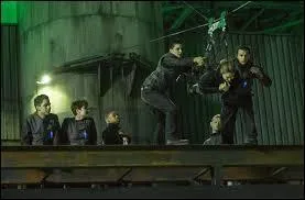 A quel étage vont-ils lorsqu'ils font de la tyrolienne avec les natifs ?