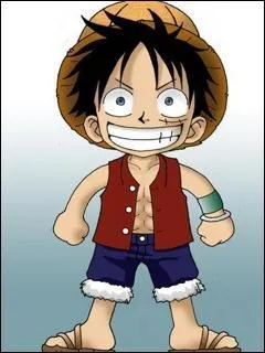 Qui est ce personnage de manga ? (One Piece)
