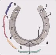Comment s'appelle la partie numéro 4 ?