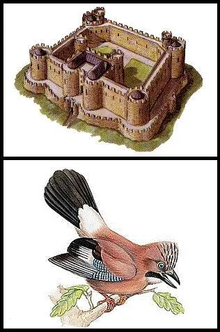 Quel est le centre d'intérêt du Guy en rébus ?