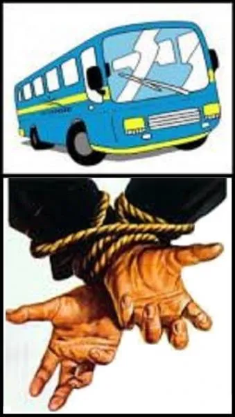 Dans quelle émission ce Guy a-t-il fait ses débuts à la télévision ?