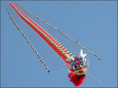 Pourquoi le cerf-volant s'appelle-t-il ainsi ?