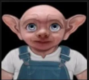 Comment s'appellent les serviteurs de la famille Pollock ?