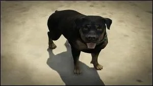 À qui appartient Chop ?