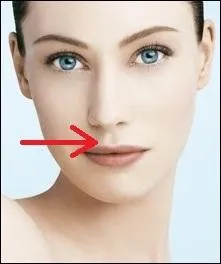 Quel terme désigne la fossette qui relie le nez au milieu de la lèvre supérieure ?