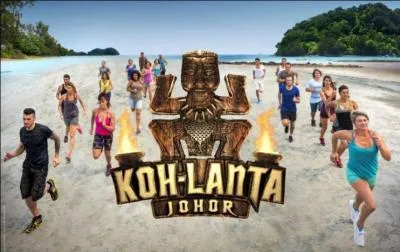Qui a gagné "Koh-Lanta 2015" ?