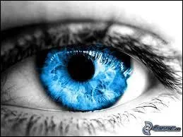 Comment dit-on "il" en anglais ?