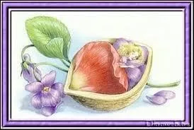 Quel personnage de Hans Christian Andersen naît dans une fleur et reste minuscule ?