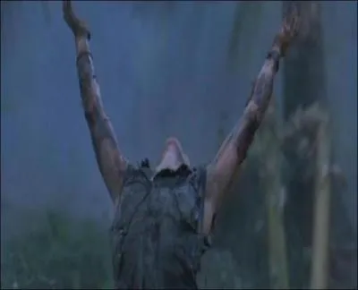 143. De quel film est tire cette photo ?