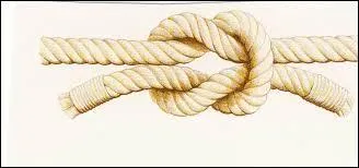 Et enfin le dernier est un fruit, c'est la Pru...