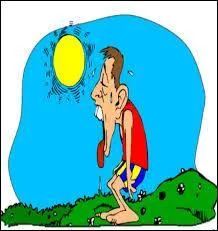 Le prochain est un légume c'est l'Arti...