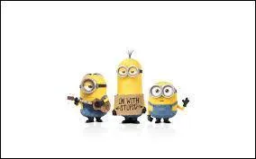 Comment se nomment-ils ?