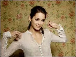Lequel de ces personnages est joué par Marion Cotillard ?